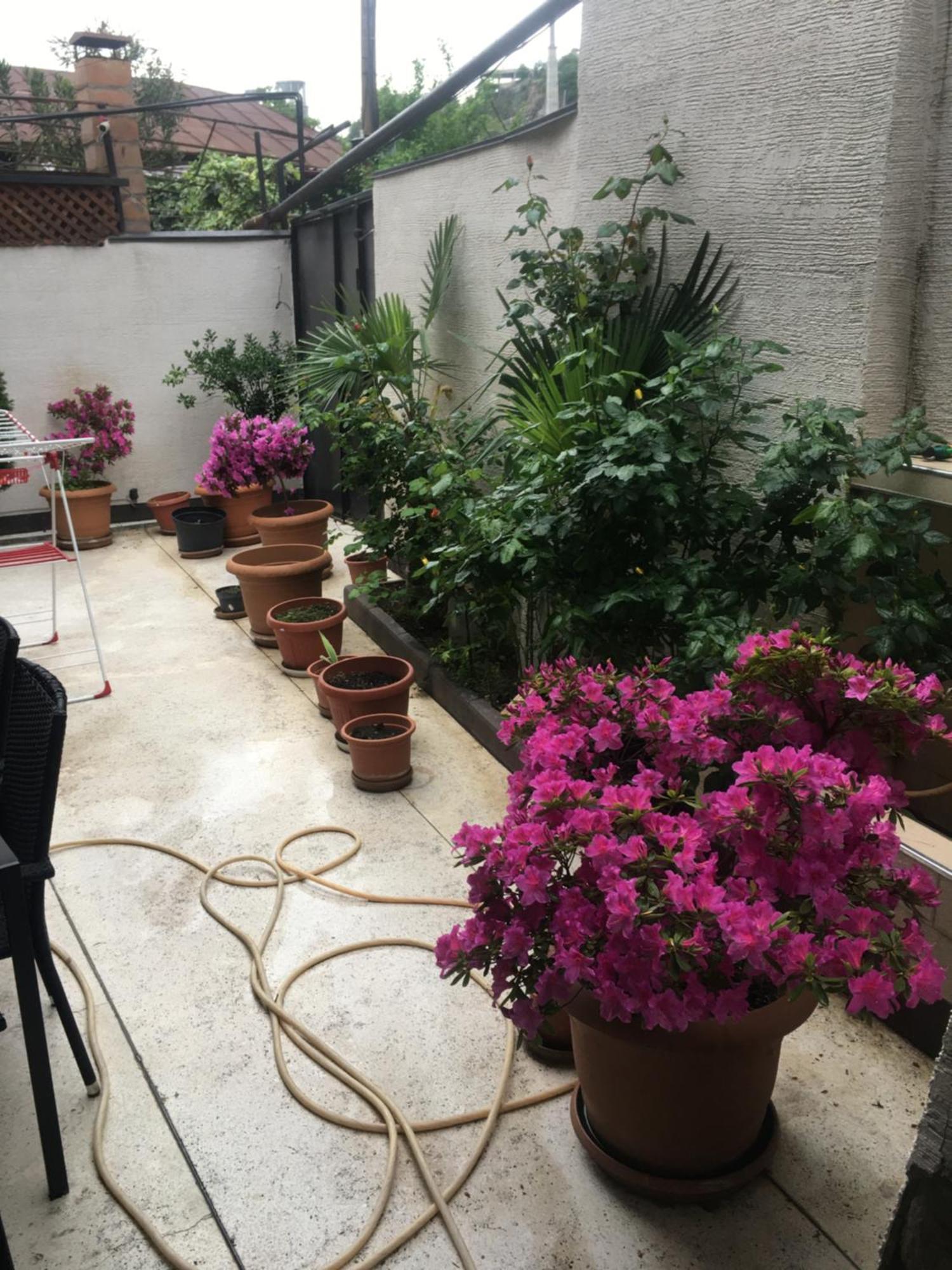 Apartmán 10 Shindisi Street,Tbilisi Exteriér fotografie